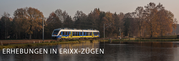 VE-14-Dinso-erixx